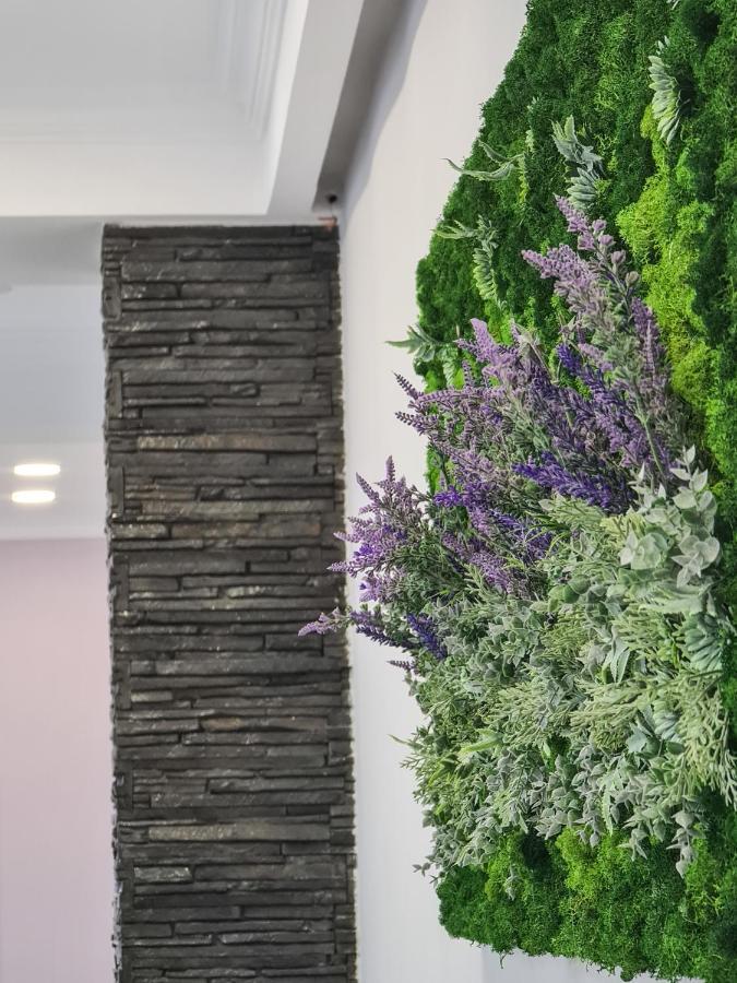 Pensiunea Lavanda, Piatra-Neamț Piatra Neamţ Exterior foto
