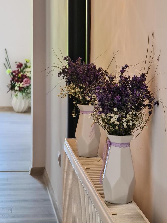 Pensiunea Lavanda, Piatra-Neamț Piatra Neamţ Exterior foto