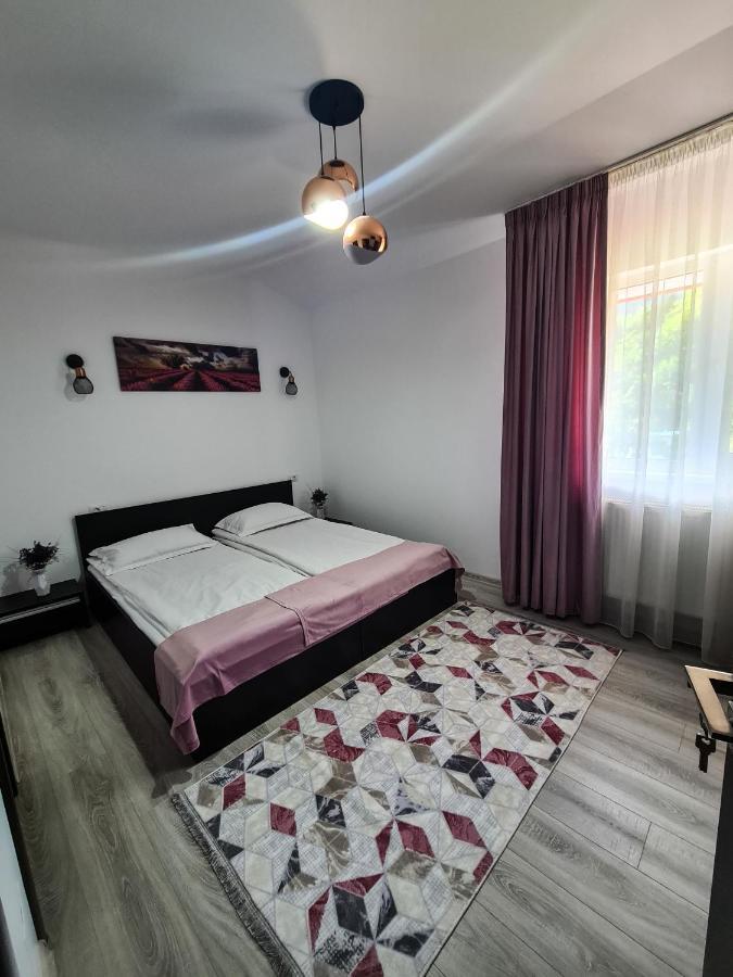 Pensiunea Lavanda, Piatra-Neamț Piatra Neamţ Exterior foto