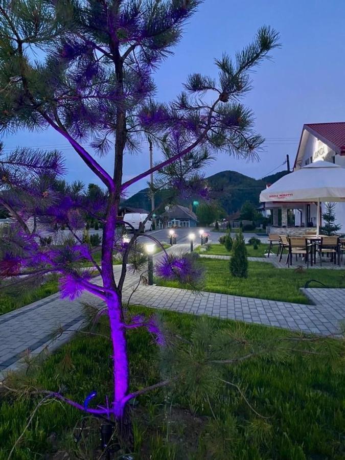 Pensiunea Lavanda, Piatra-Neamț Piatra Neamţ Exterior foto
